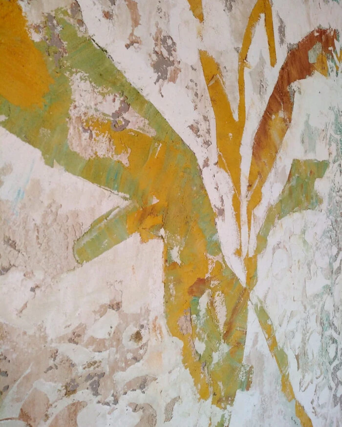 Parete decorativa realizzata con finitura a calce